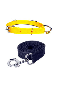 Nylon Dog Belt Combo of Ghungroo Collar with Leash, Dog Adjustable Nylon Bell Collar & Leash
