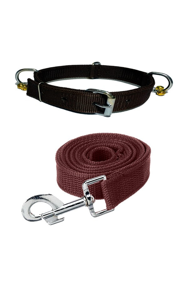 Nylon Dog Belt Combo of Ghungroo Collar with Leash, Dog Adjustable Nylon Bell Collar & Leash