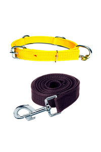 Nylon Dog Belt Combo of Ghungroo Collar with Leash, Dog Adjustable Nylon Bell Collar & Leash