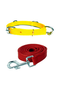 Nylon Dog Belt Combo of Ghungroo Collar with Leash, Dog Adjustable Nylon Bell Collar & Leash