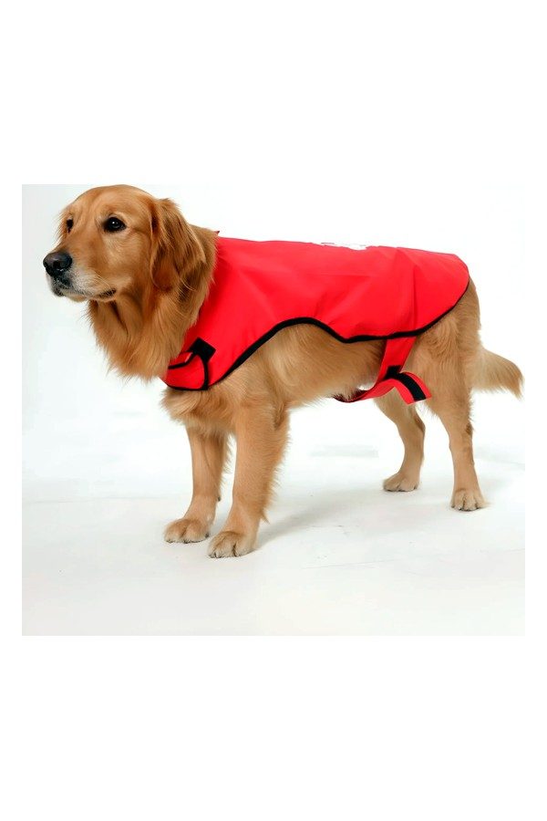 Happy Paws Printed Waterproof Dog Raincoat- Lightweight Cartoon Monsoon Jacket
