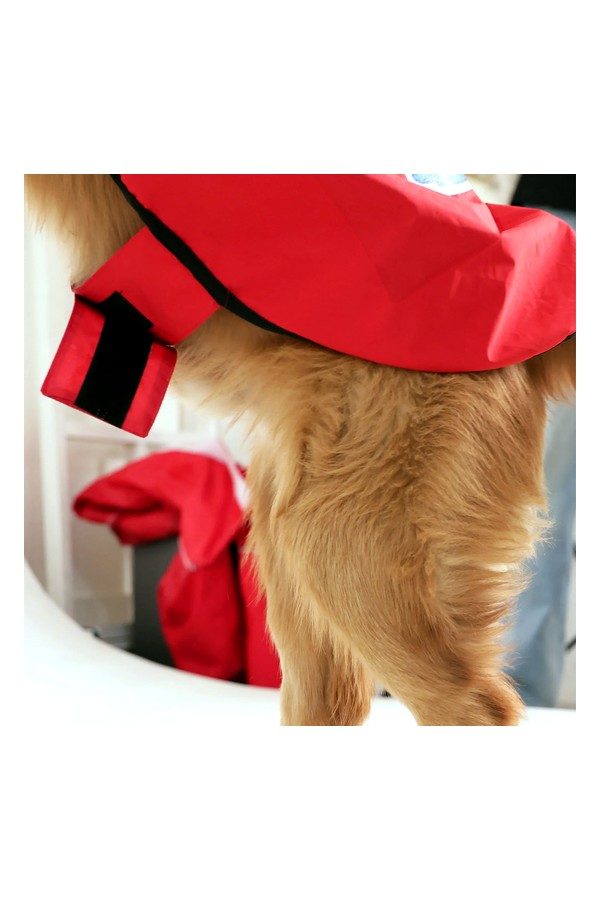 Happy Paws Printed Waterproof Dog Raincoat- Lightweight Cartoon Monsoon Jacket
