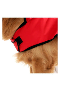 Happy Paws Printed Waterproof Dog Raincoat- Lightweight Cartoon Monsoon Jacket