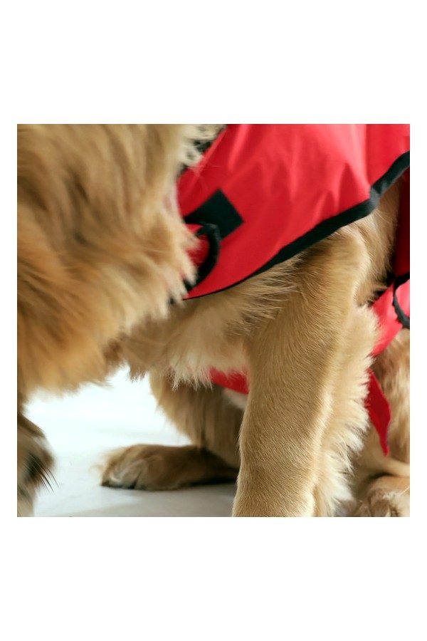 Happy Paws Printed Waterproof Dog Raincoat- Lightweight Cartoon Monsoon Jacket