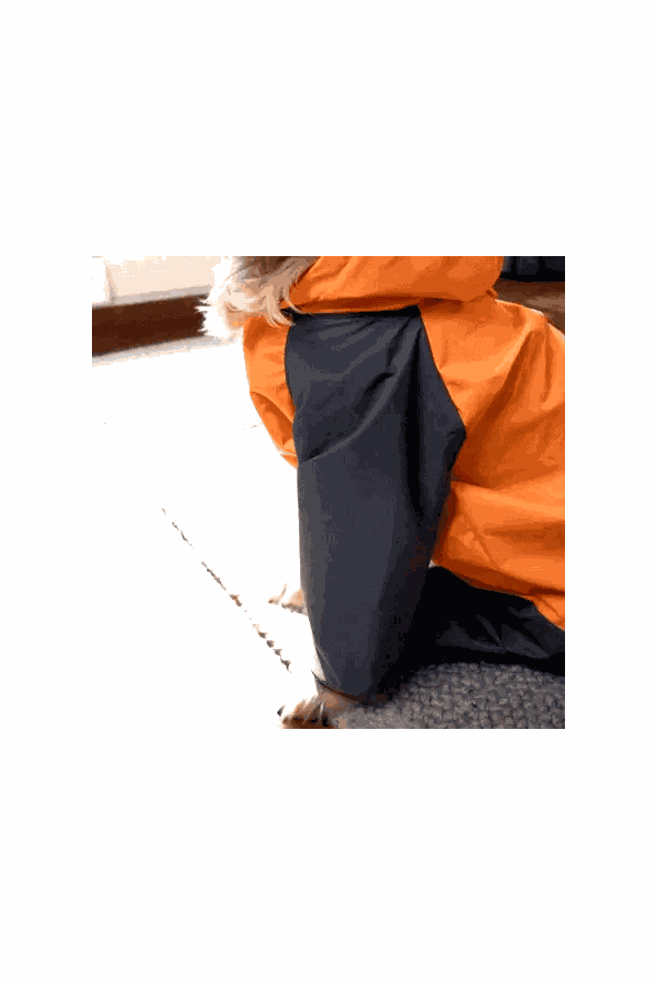 Storm Flex Sport Waterproof Dog Raincoat with Hood- High Visibility Outdoor Jacket