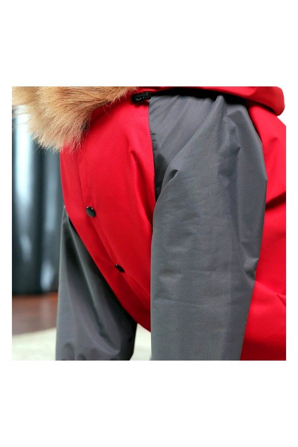 Storm Guard Waterproof Dog Raincoat with Hood- Lightweight All Weather Protection