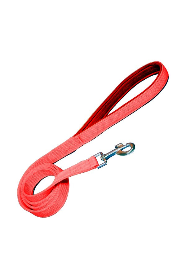 Nylon Dog Leash With Soft Padded 137 CM Long (0.75"/ 1 ''/ 1.25" Inch)