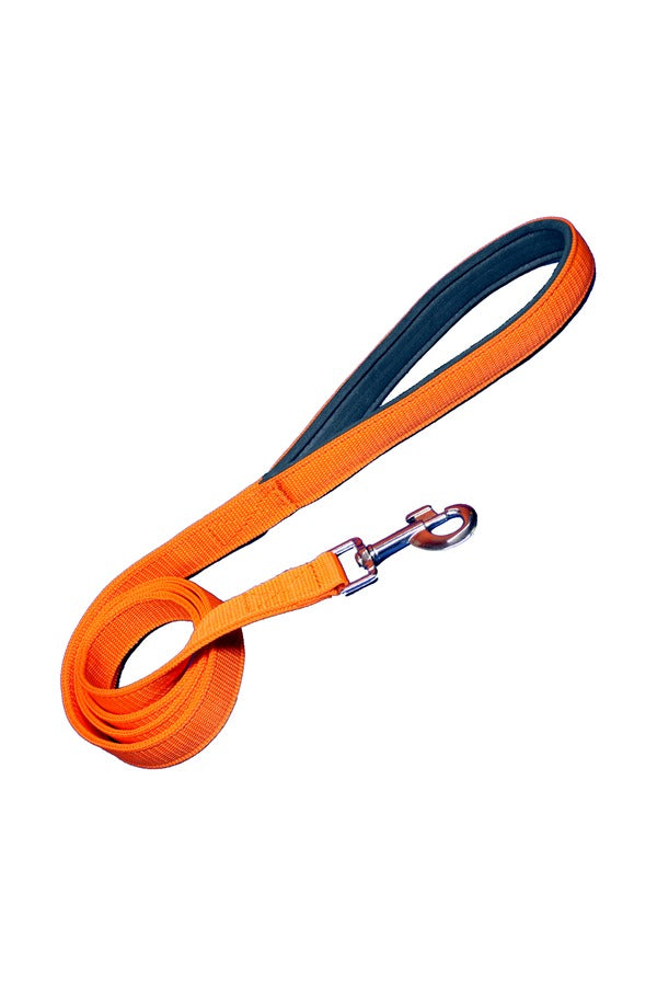 Nylon Dog Leash With Soft Padded 137 CM Long (0.75"/ 1 ''/ 1.25" Inch)