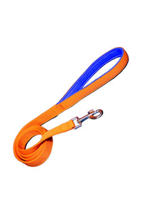 Nylon Dog Leash With Soft Padded 137 CM Long (0.75"/ 1 ''/ 1.25" Inch)