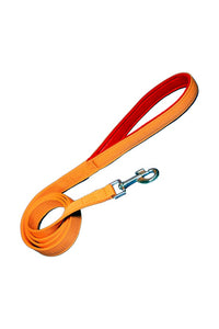 Nylon Dog Leash With Soft Padded 137 CM Long (0.75"/ 1 ''/ 1.25" Inch)