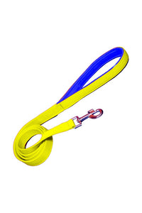 Nylon Dog Leash With Soft Padded 137 CM Long (0.75"/ 1 ''/ 1.25" Inch)