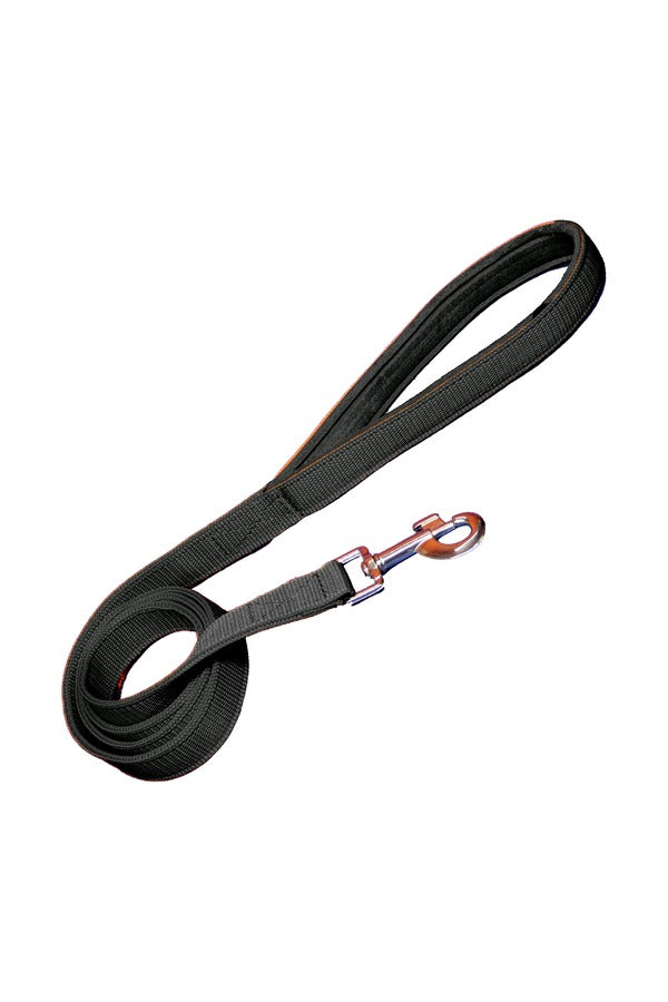 Nylon Dog Leash With Soft Padded 137 CM Long (0.75"/ 1 ''/ 1.25" Inch)