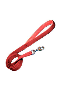 Nylon Dog Leash With Soft Padded 137 CM Long (0.75"/ 1 ''/ 1.25" Inch)