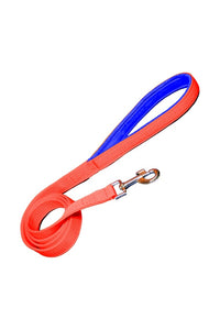 Nylon Dog Leash With Soft Padded 137 CM Long (0.75"/ 1 ''/ 1.25" Inch)