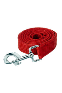 Alcazar Nylon Dog Leash 137 CM Long (0.75"/ 1 ''/ 1.25" Inch)