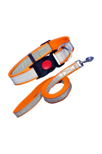 Reflective Dog Collar & Leash, Quick Release Buckle, Pet Collar & Leash Combo