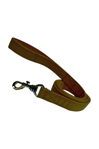Nylon Dog Leash | Durable | Comfortable Grip | Training Leash for Daily Walks, 137 CM Long (0.75"/1"/1.25"))