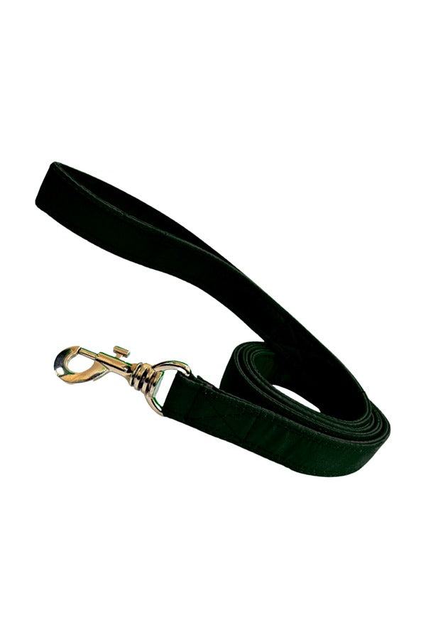 Nylon Dog Leash | Durable | Comfortable Grip | Training Leash for Daily Walks, 137 CM Long (0.75"/1"/1.25"))