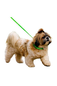 Puppy Neck Collar, Leash Combo Set, Nylon Fabric, Adjustable Size, Bone Paw Printed