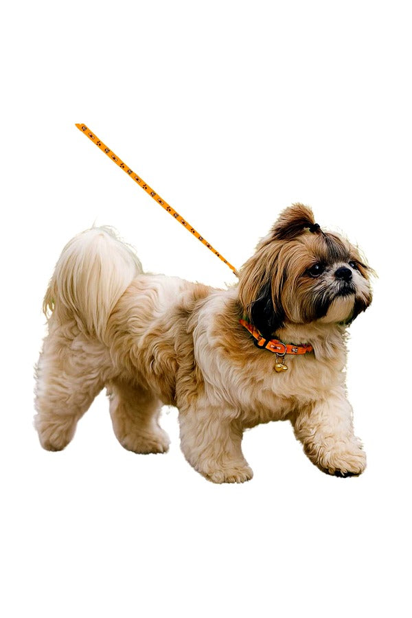 Puppy Neck Collar, Leash Combo Set, Nylon Fabric, Adjustable Size, Bone Paw Printed