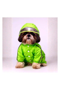 Neon Raincoat