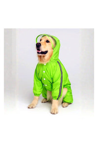 Neon Raincoat
