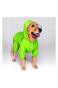 Neon Raincoat