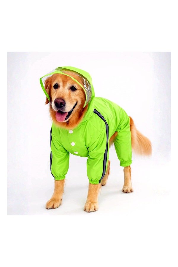 Neon Raincoat