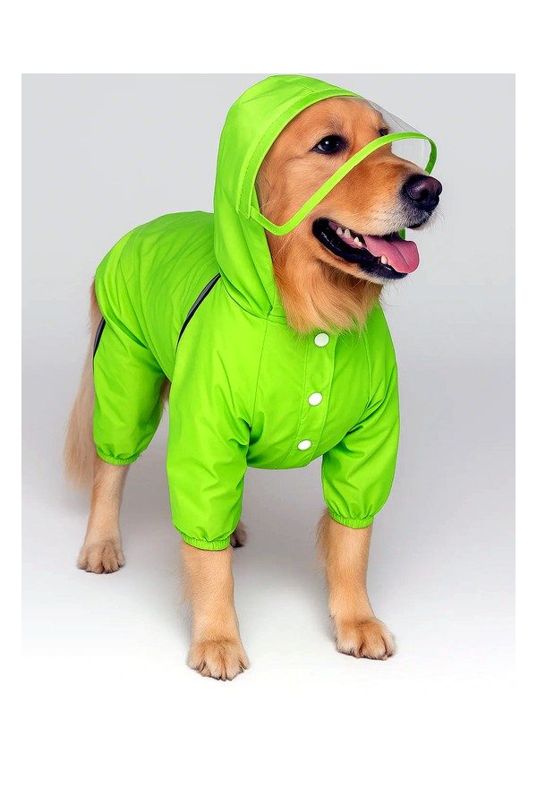 Neon Raincoat