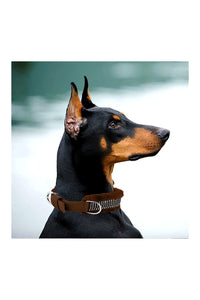 Dog Fur Collar, Good Quality Soft Fabric, Strong D-Ring, High-Quality, Adjustable Neck Length, Recommended for German shepherd, Rottweiler & Extra Large Breeds,