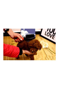Double Sided Plastic Handle Soft Brush, Grooming & Shedding Comb for Dogs & Cats (Soft Brush)