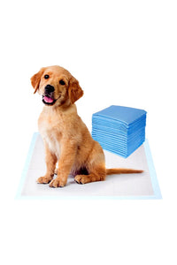 Pet Training Pads with Leak-Proof Quick-Dry Design (Assorted, Pack of 15, 60*60CM)