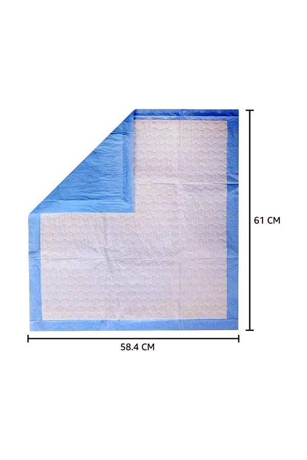 Pet Training Pads with Leak-Proof Quick-Dry Design (Assorted, Pack of 15, 60*60CM)