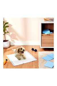 Pet Training Pads with Leak-Proof Quick-Dry Design (Assorted, Pack of 15, 60*60CM)