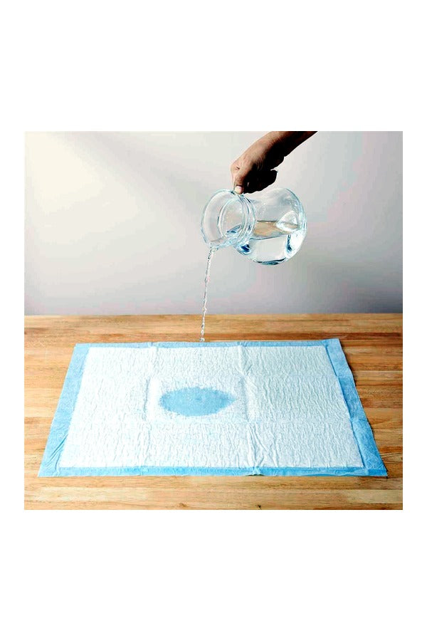 Pet Training Pads with Leak-Proof Quick-Dry Design (Assorted, Pack of 15, 60*60CM)
