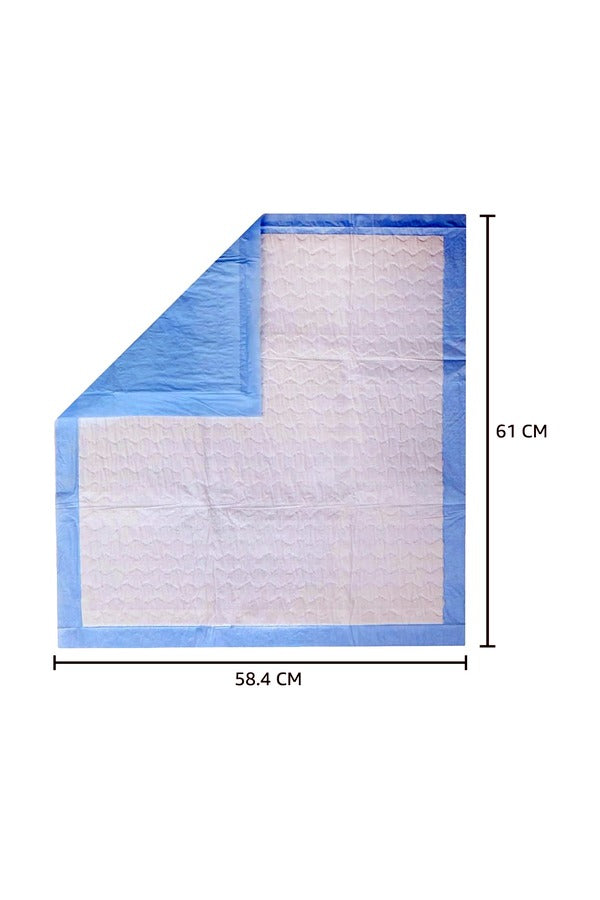 Pet Training Pads with Leak-Proof Quick-Dry Design (Assorted, Pack of 15, 60*60CM)