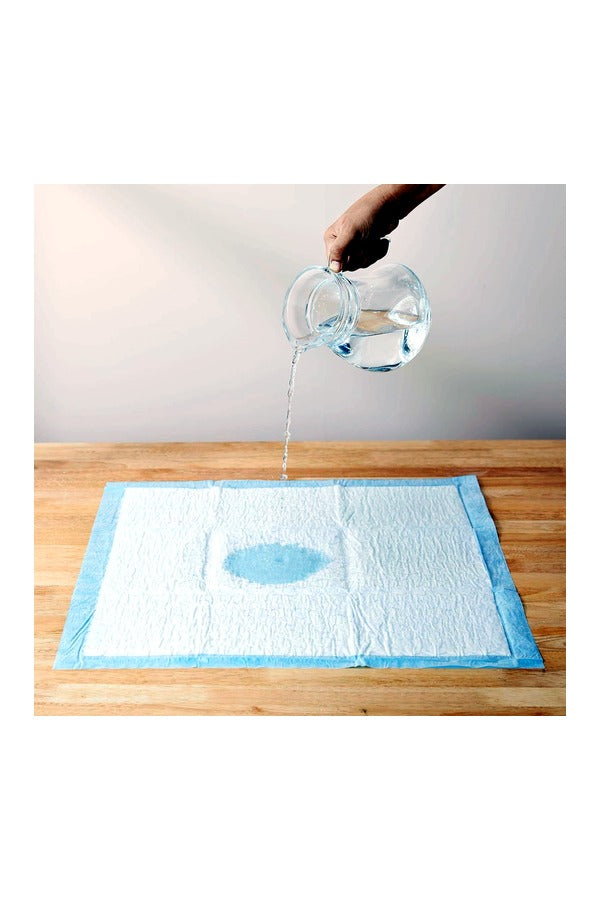 Pet Training Pads with Leak-Proof Quick-Dry Design (Assorted, Pack of 15, 60*60CM)