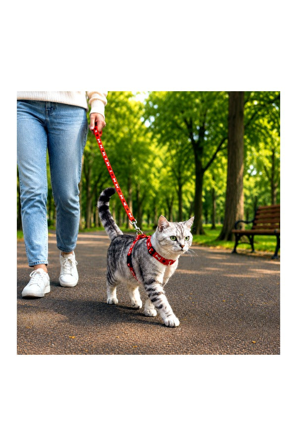 Cat Vest Harness with Leash