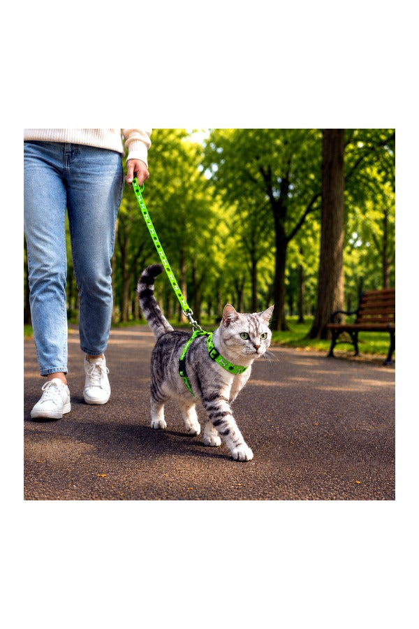 Cat Vest Harness with Leash