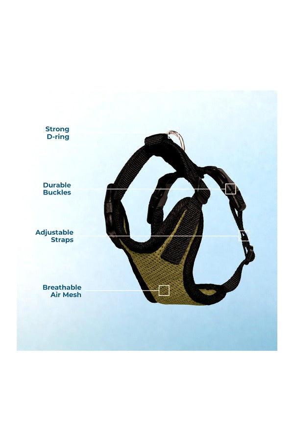 Cat H-Harness with Leash