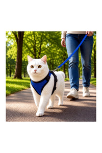 Cat H-Harness with Leash