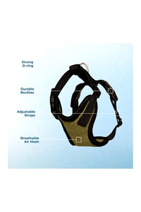 Cat H-Harness with Leash