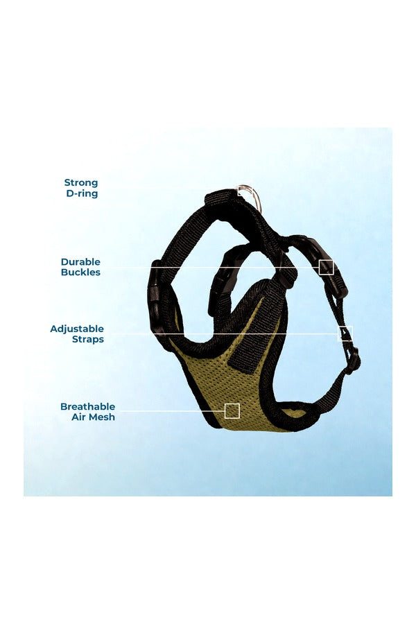 Cat H-Harness with Leash