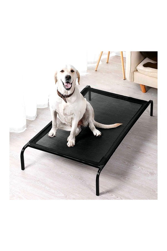 Pet Metal Bed (Elevated)