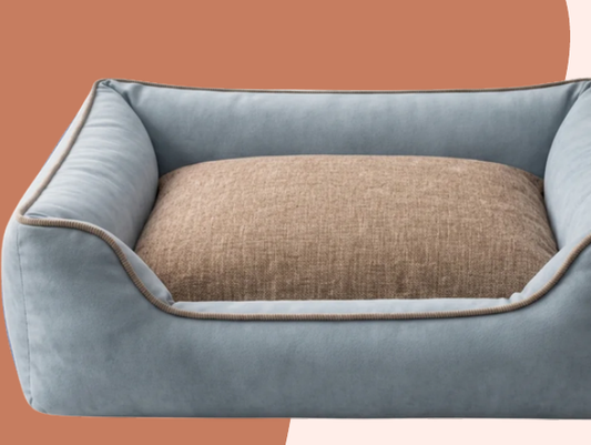 Two Tone Dog Bed - Blue & Brown (Orthopedic)