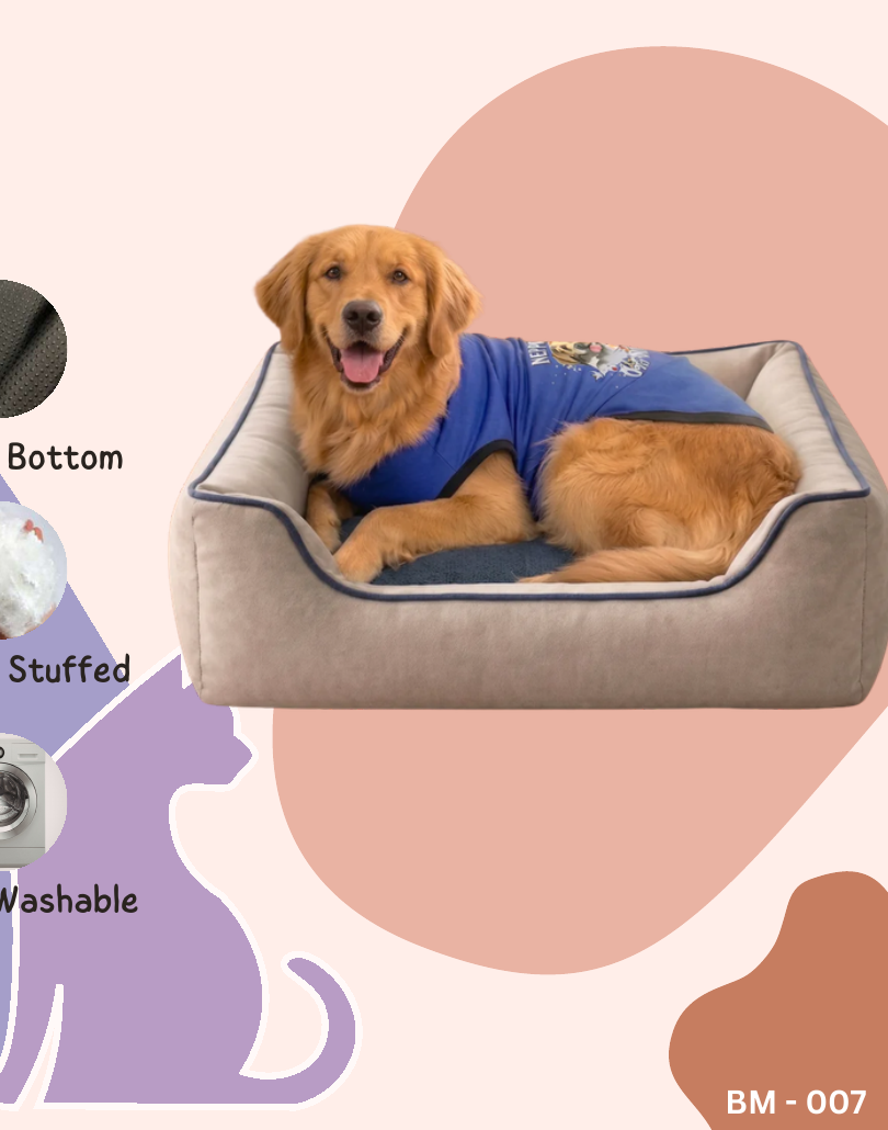 Two Tone Dog Bed Beige - Blue (Orthopedic)