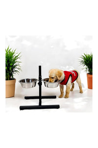Pet Bowl Plain