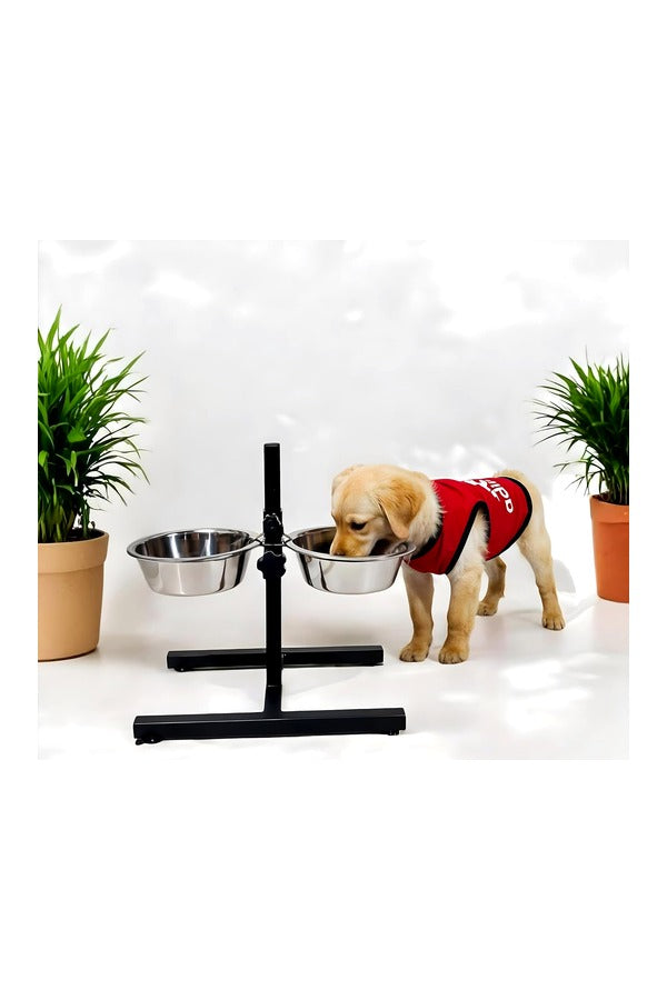 Pet Bowl Plain