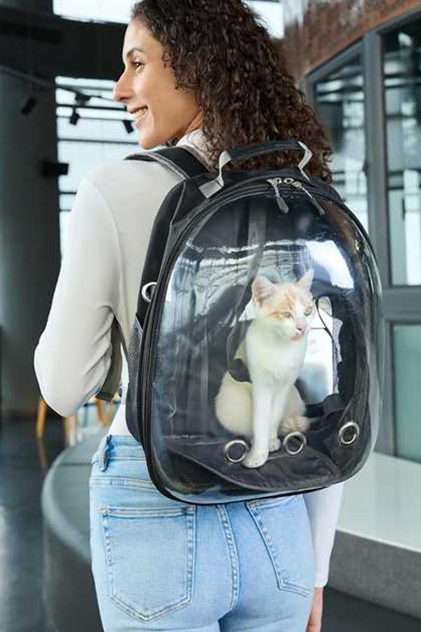 Transparent Pet Carry Bag