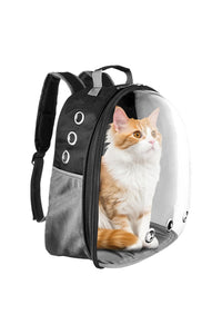 Transparent Pet Carry Bag